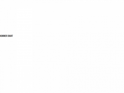 womeco.dk snapshot