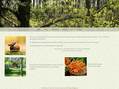 debraemerson.com snapshot