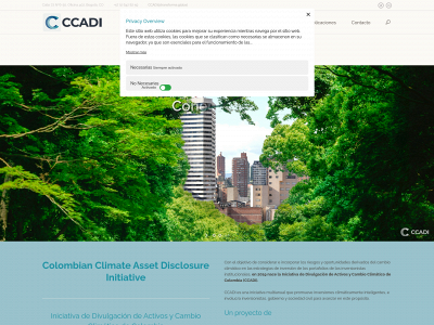 ccadi.co snapshot