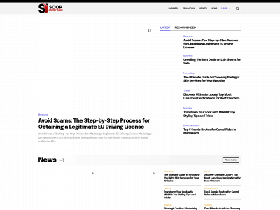 scopbusiness.com snapshot