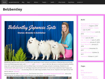 belzbentley.com snapshot