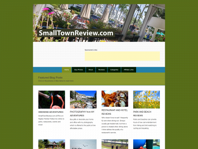smalltownreview.com snapshot