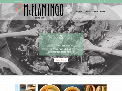 mcflamingo.com snapshot