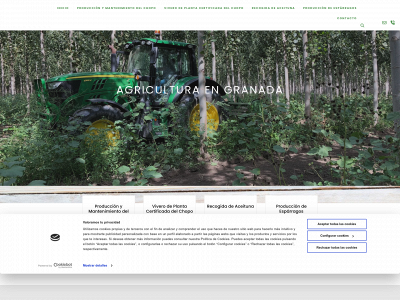 agroservicioshijoceledonio.es snapshot