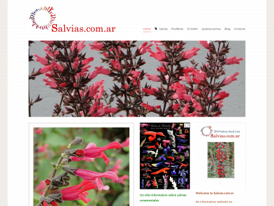 salvias.com.ar snapshot