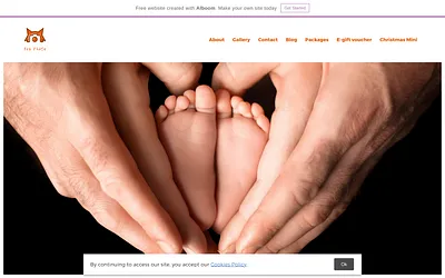 foxphoto.ie snapshot