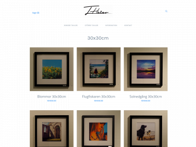 site-6ec0bccd7160.mypreview.site snapshot