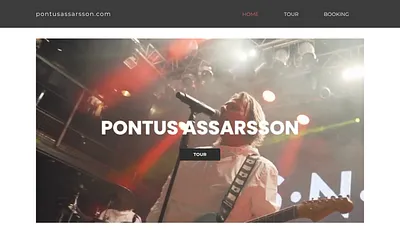 pontusassarsson.com snapshot