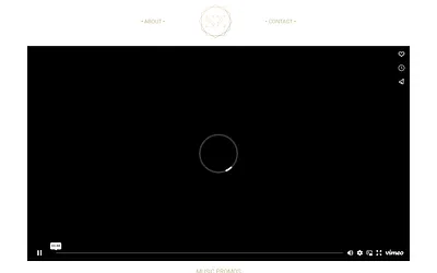 satyazoa.com snapshot