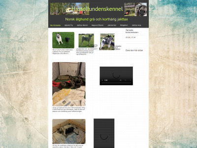 hassellundenskennel.se snapshot