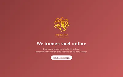 medusamaassluis.nl snapshot