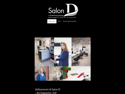 salond.dk snapshot