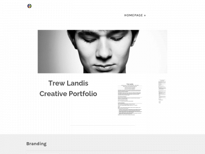trewlandisportfolio.weebly.com snapshot