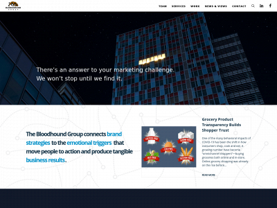 bloodhoundbranding.com snapshot