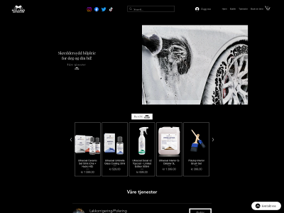nylunddetailing.no snapshot