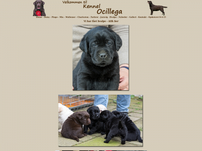 ocillega.dk snapshot