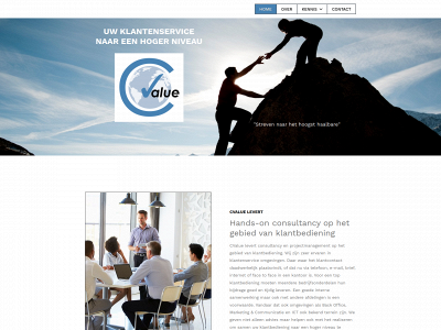 cvalue.nl snapshot