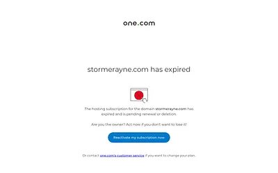 stormerayne.com snapshot