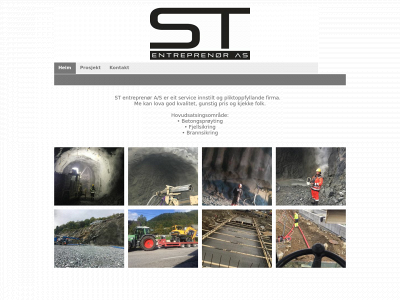 stentreprenor.no snapshot