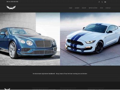 carsdeluxe.nl snapshot