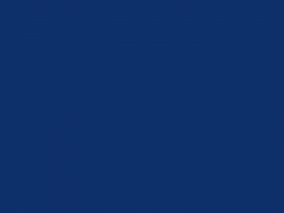 thecybervets.com snapshot