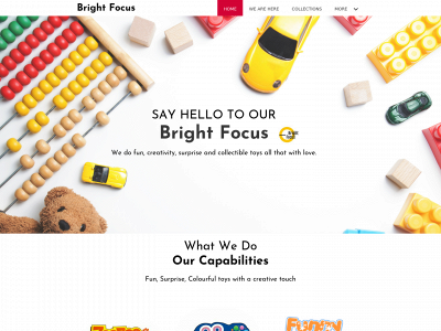 brightfocushk.com snapshot