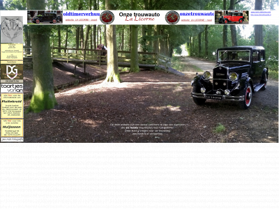 onzetrouwauto.nl snapshot