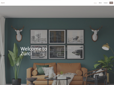 zurci.com snapshot