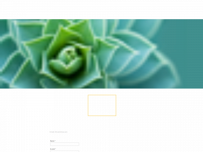 dimce.com snapshot