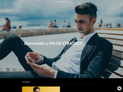 valuestrategy.online snapshot