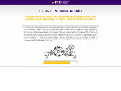 brandsoul.com.br snapshot