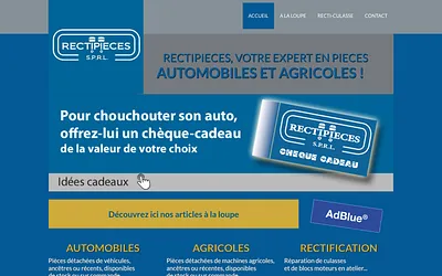 rectipieces.com snapshot