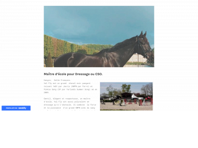 val-fly.weebly.com snapshot
