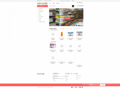 drop-in.store snapshot