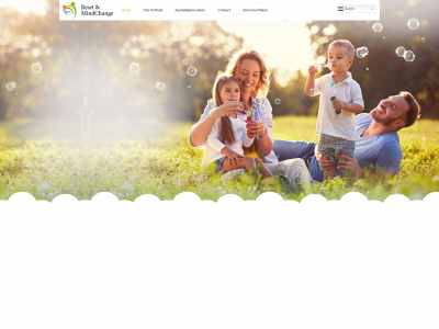 resetmindchange.nl snapshot