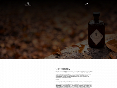 minnegin.be snapshot