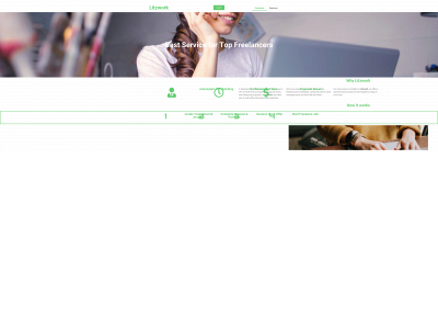 litzwork.com snapshot
