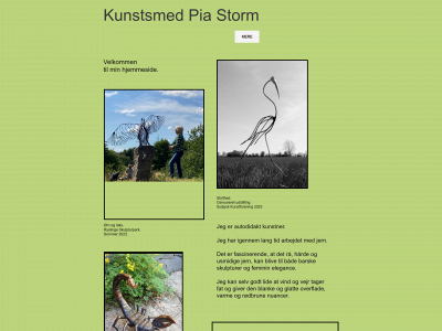 pia-storm.dk snapshot