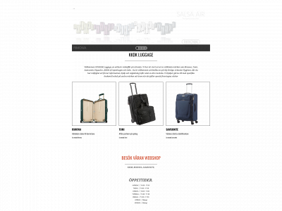 kkdkluggage.se snapshot