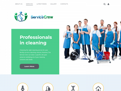 theservicecrew.co.uk snapshot