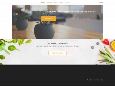 www.wellnessandbloom.com snapshot