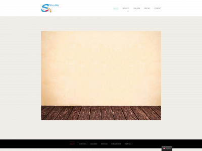 stellinadaycare.com snapshot