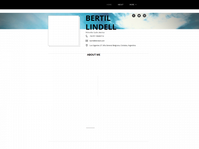 blindell.com snapshot