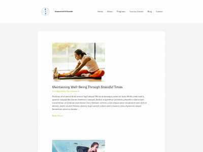 acupunctureindunedin.com snapshot