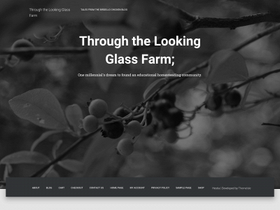 throughthelookingglassfarm.com snapshot
