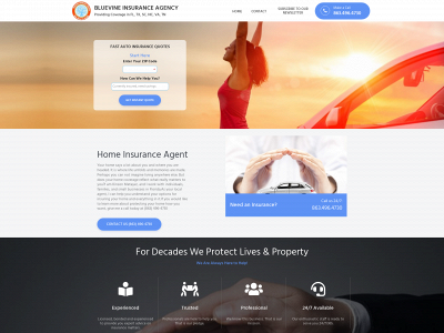 bluevineinsurance.com snapshot