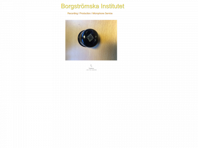 borgstromskainstitutet.se snapshot