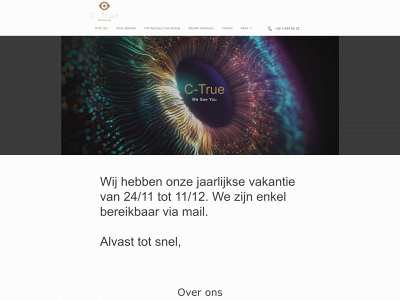ctrue.be snapshot