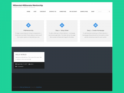 millimentorship.com snapshot