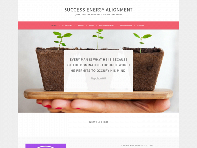 successenergyalignment.com snapshot